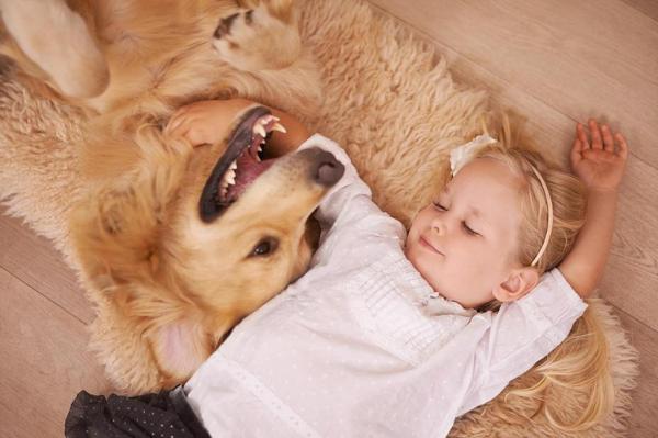 10 Razones para Tener un Perro en la Familia - 4. Los perros nos ayudan a dormir en invierno