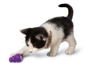 Los Mejores Juguetes Dispensadores De Golosinas Para Gatos