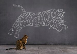 8 Razas De Gatos Domésticos Que Parecen Tigres