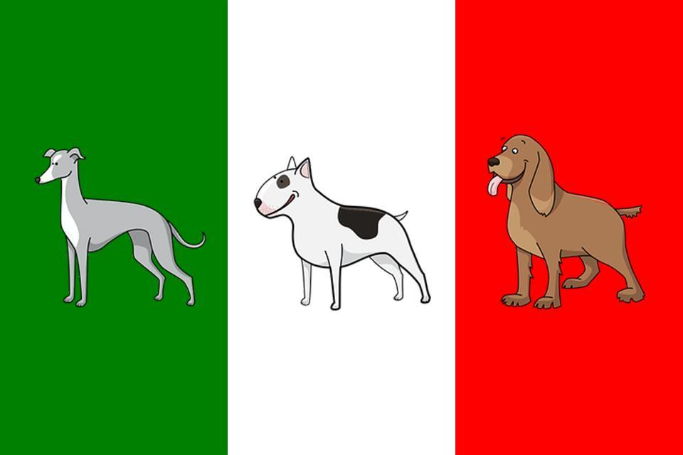Nombres De Perros Italianos: Macho Y Hembra