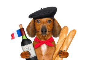 Nombres De Perros Franceses: Macho Y Hembra