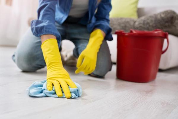 ¿Por qué mi perro hace caca en casa de repente? - ¿Cómo evitar que un perro haga caca en casa?
