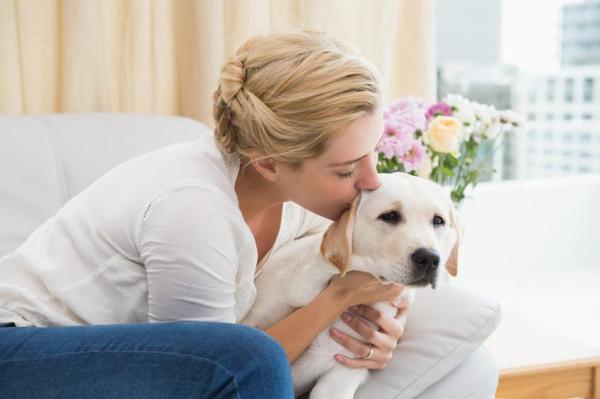 ¿A los perros les gustan los besos? - Besos de perros- ¿Cómo se sienten los perros cuando los besas?