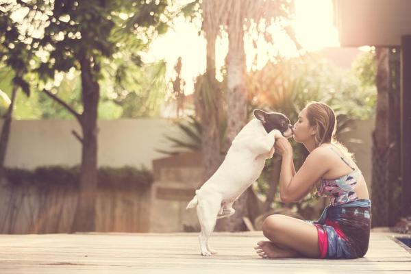 ¿A los perros les gustan los besos? - ¿Es seguro besar a un perro?
