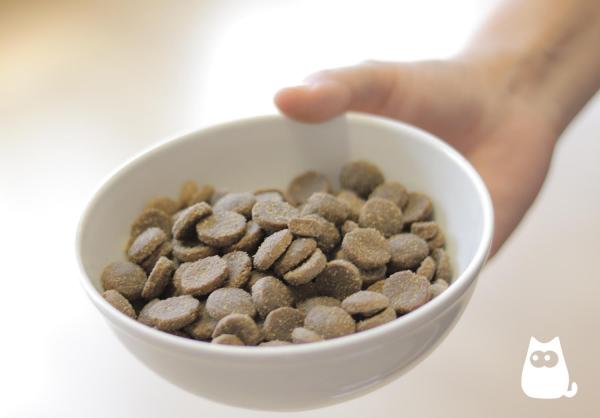 Intolerancia alimentaria en perros - Síntomas y dieta - Intolerancia alimentaria en perros - composición del pienso