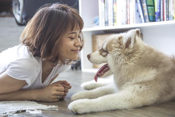 Cómo entretener a un perro solo en casa - 2. Pídale a alguien de su confianza que lo visite