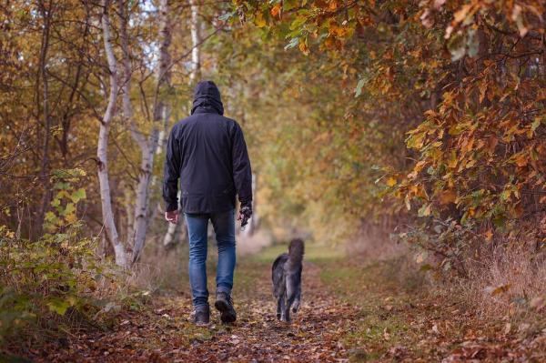 Cómo controlar a un perro macho cerca de una hembra en celo: cambiar su horario de paseo