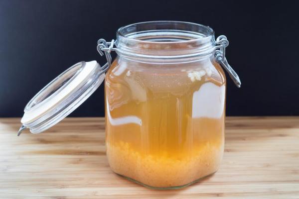 ¿Pueden los perros comer kéfir? - ¿Cómo hacer kéfir de agua?