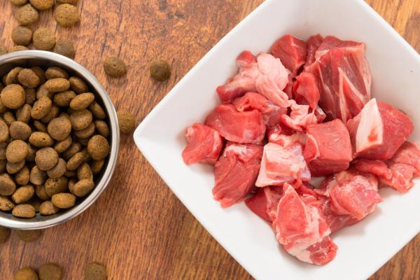 ¿Por qué mi pitbull se vuelve agresivo? - Comida para un pitbull