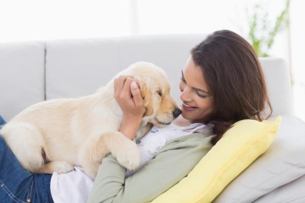 Cómo hidratar la piel de mi perro - Estimular la piel de tu perro