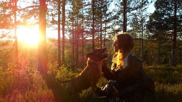 Cómo hidratar la piel de mi perro: limitar su exposición al sol