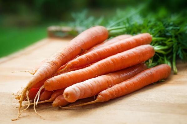 ¿Cuáles son las mejores golosinas para perros? - Delicias saludables caseras