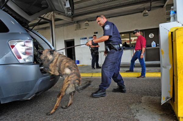 ¿Cómo entrenan a los perros detectores? - Cómo evitar que un perro rastreador detecte drogas