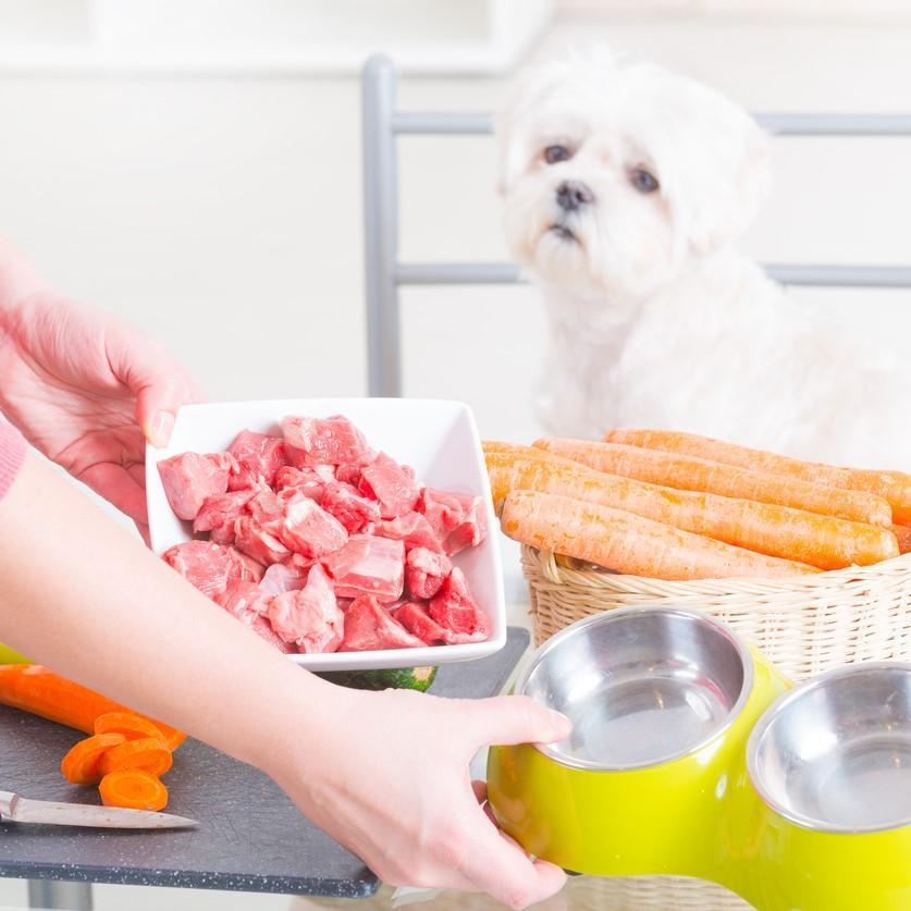 ¿puede La Carne Cruda Dañar a Un Perro?