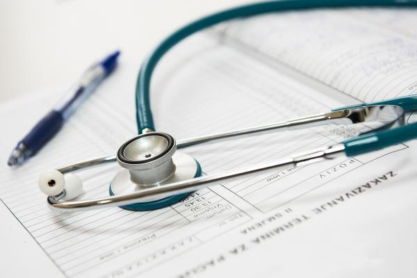 Cuidados de un Galgo Español - Cuidados veterinarios y enfermedades específicas