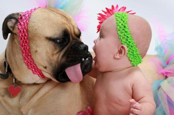 Los 10 mejores perros guardianes -