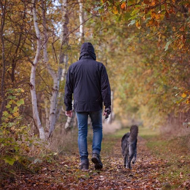 ¿La Mejor Hora Del Día Para Pasear a Su Perro? ¿la Mejor Hora Del Día Para Pasear a Su Perro?