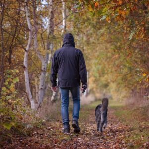 ¿la Mejor Hora Del Día Para Pasear a Su Perro?