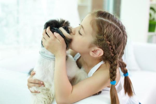 ¿Cuánto tiempo le toma a un cachorro adaptarse al nuevo hogar? - Cómo presentarle a su perro a un niño pequeño u otras mascotas