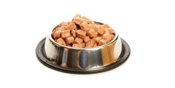 ¿Cuál es la mejor dieta para un gato siamés?  - Pienso húmedo para gatos siameses