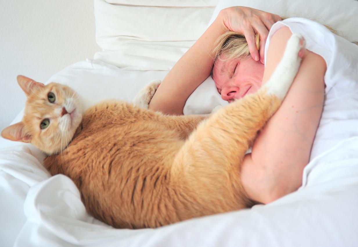¿Por Qué Mi Gato Me Despierta Por La Mañana? - Respuestas Y Soluciones ¿por Qué Mi Gato Me Despierta Por La Mañana?