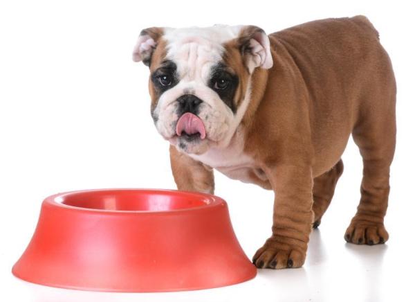 ¿Qué es la Dieta BARF para Perros? Consejos y Menú de Ejemplo - Un menú de ejemplo de la dieta BARF