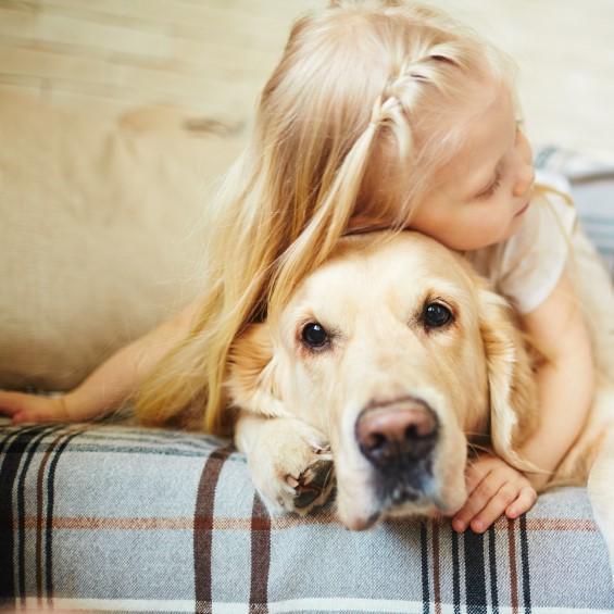 Las 10 Razas De Perros Más Cariñosas