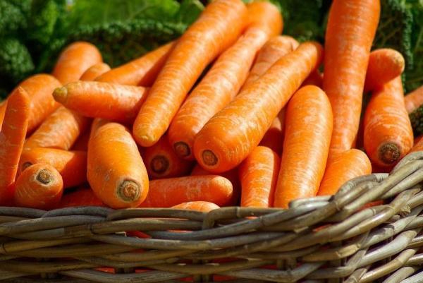 ¿Qué alimentos humanos pueden comer los gatos?  - ¿Pueden los gatos comer verduras?