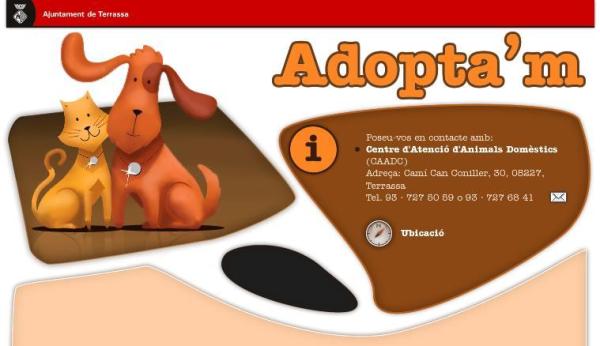 ¿Dónde se puede adoptar un perro en Barcelona?  -CAACD 