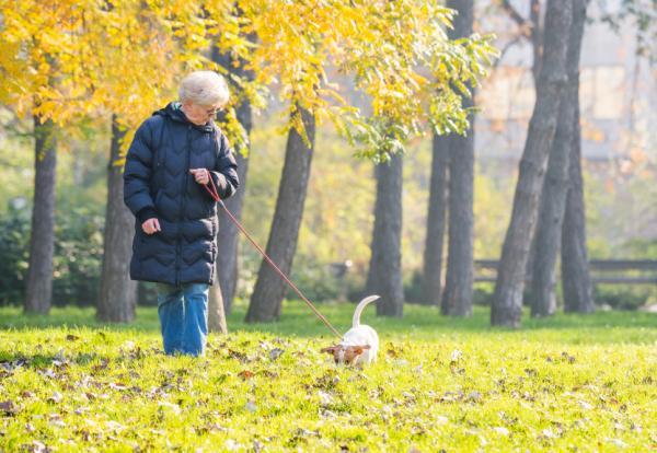 Consejos para evitar que un perro tire de la correa - Consejos para favorecer la tranquilidad y el bienestar durante el paseo