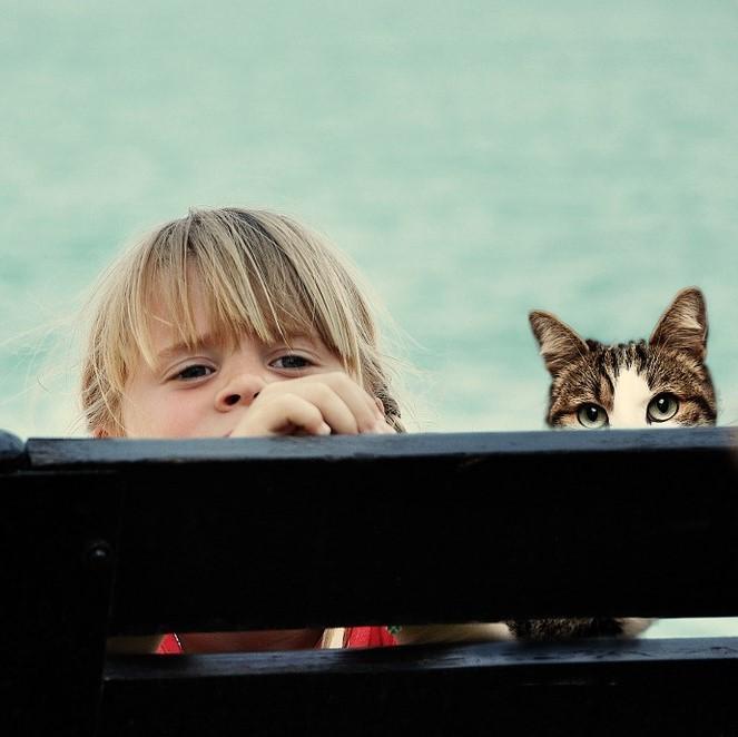 ¿cuál Es La Mejor Mascota Para Un Niño?