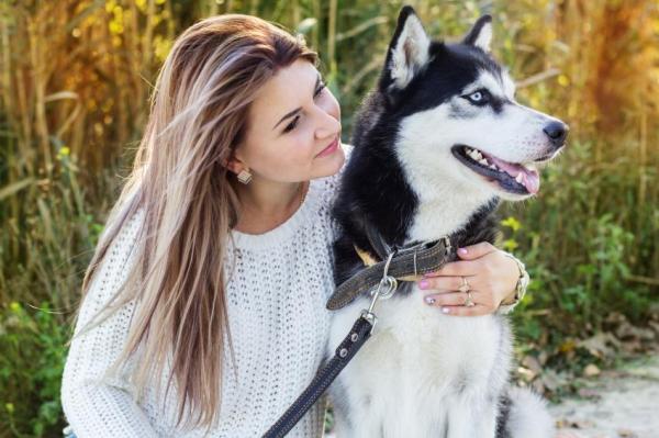 Aceite de Oliva para Perros - Usos y Beneficios - Beneficios a largo plazo