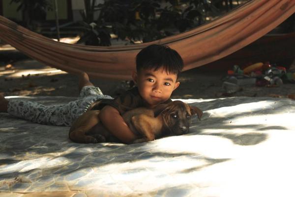 ¿Por qué mi perro es agresivo con las personas? Causas y Soluciones - ¿Cómo socializar a tu perro?