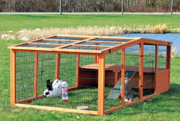Cuidando a un conejo enano - ¿Cuál es la mejor jaula para un conejo enano?