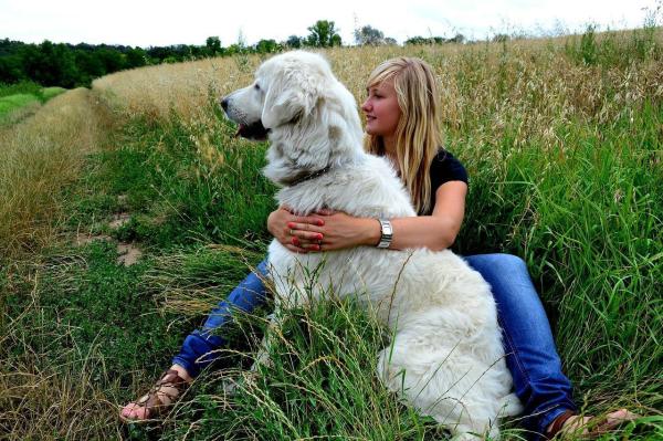 ¿Por qué mi perro adulto muerde a mi cachorro?  - Adaptarse a los cambios.