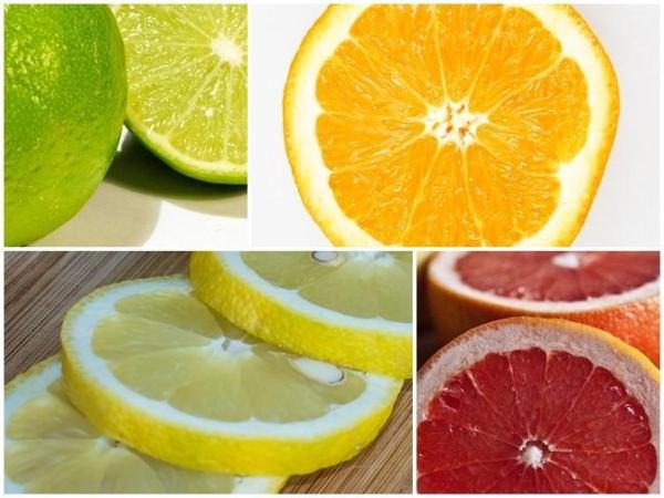 Frutas y verduras prohibidas para perros - Cítricos