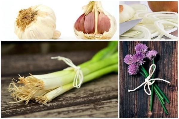 Frutas y verduras prohibidas para perros - Verduras