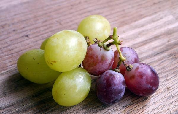 Frutas y verduras prohibidas para perros - Uvas