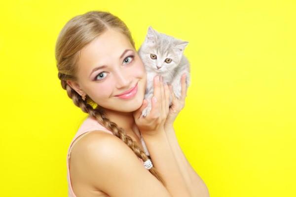 Refuerzo Positivo en Gatos - Beneficios del refuerzo positivo en gatos