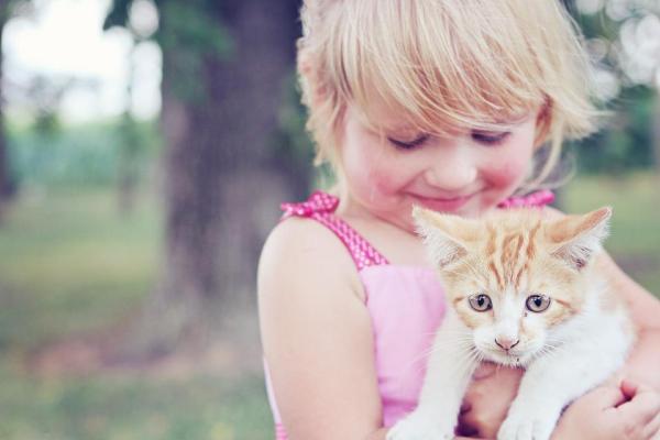 Cuidando gatitos - Atención veterinaria periódica