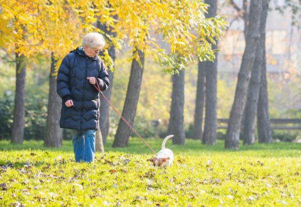 10 razones por las que deberías pasear a tu perro: olfatear permite a los perros aliviar el estrés