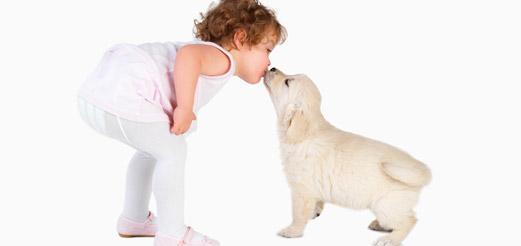 Consejos para prevenir los celos entre un perro y un niño - Criar un niño con un perro en casa