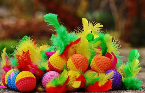 Juguetes para gatos: Ideas y consejos para jugar con tu gato - Pelotas