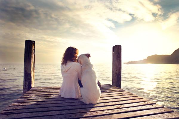 Nombres punjabíes para perros: ¿cómo es tu perro?