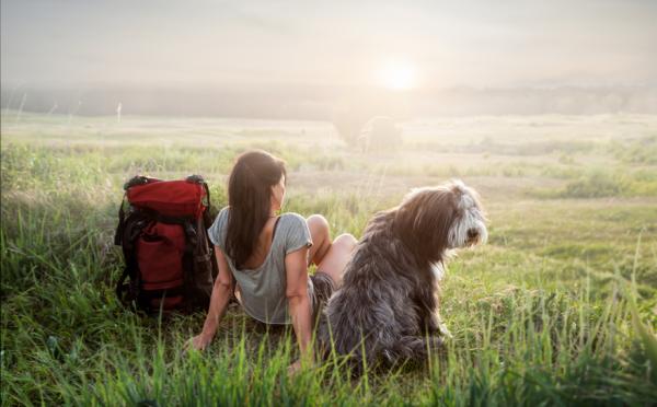 Nombres escoceses para perros - Con significados - Nombres escoceses unisex para perros y cachorros