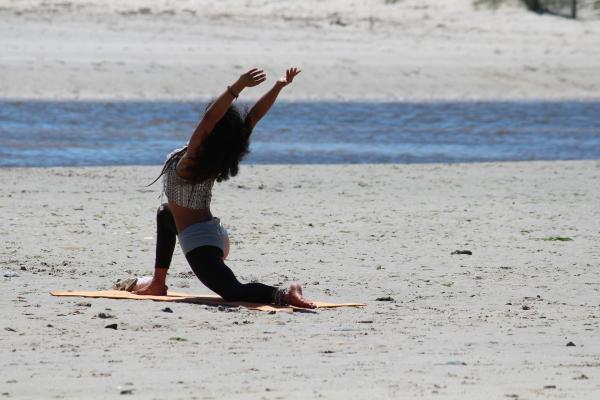 Yoga para Perros - ¿Qué necesito para hacer yoga con mi perro?
