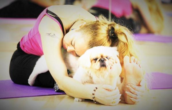 Yoga para Perros - Crea tu propia rutina Doga