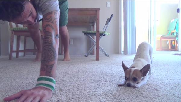 Yoga para perros - Entendimiento mutuo