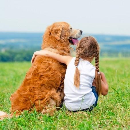 Las 5 Mejores Razas De Perros Para Niños Autistas