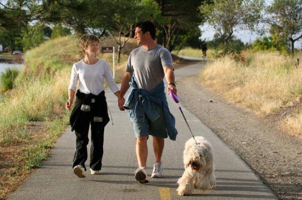 ¿Con qué frecuencia debes pasear a tu perro?  - Pasear a un perro adulto